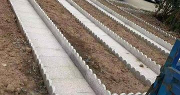 金昌芝麻白花边石